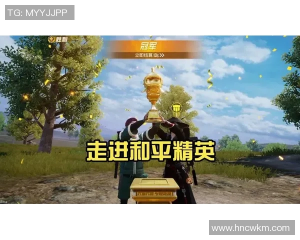 刘丽专访揭秘和平精英成功背后的策略与创新之路 刘丽专访揭秘和平精英成功背后的策略与创新之路